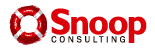 Snoop Consulting