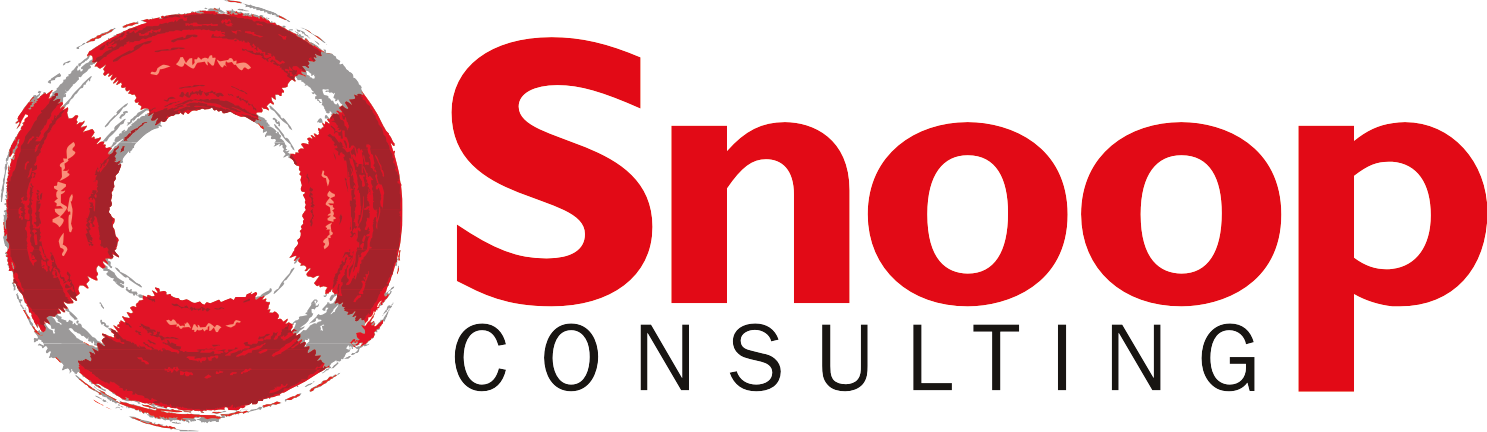 Snoop Consulting